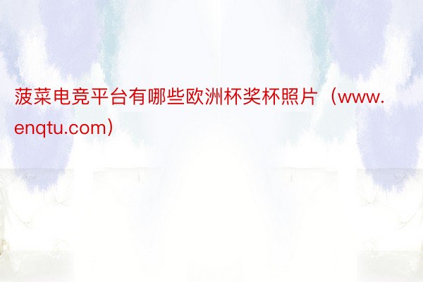 菠菜电竞平台有哪些欧洲杯奖杯照片（www.enqtu.com）